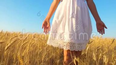 女孩的手触摸成熟的麦穗，穿着白色衣服的女孩走向金色麦穗的田野，慢动作，合上